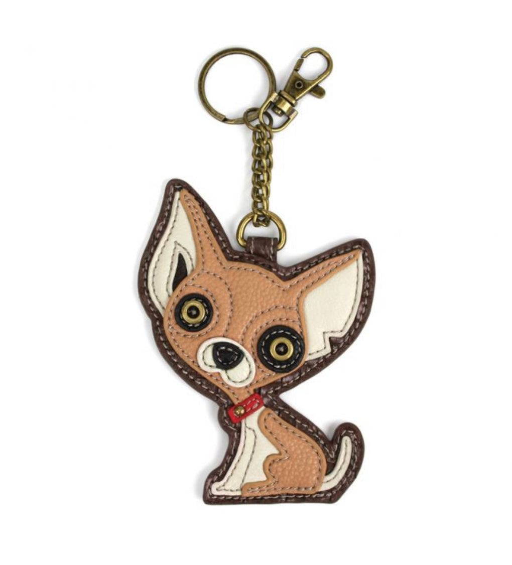 Key Chihuahua